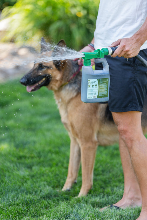 ArborTote Natural Pet Spot Repair 0-0-0 Lawn Soil Treatment
